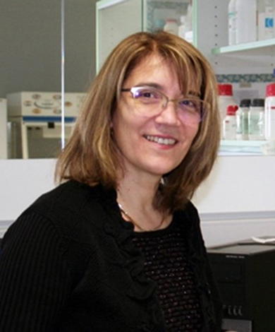 graphic file with name 13346_2024_1608_Figb_HTML.jpg