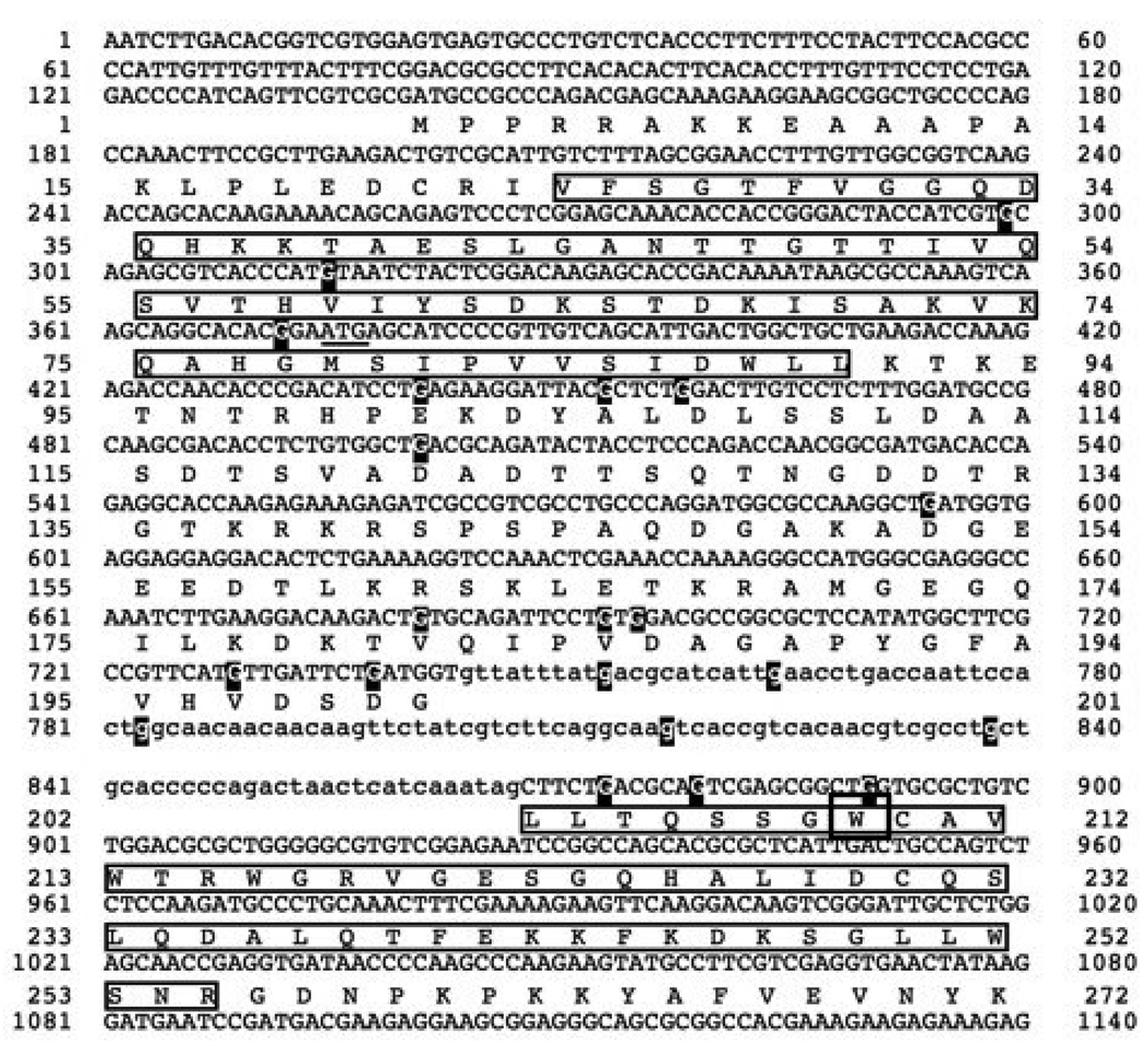 FIGURE 3