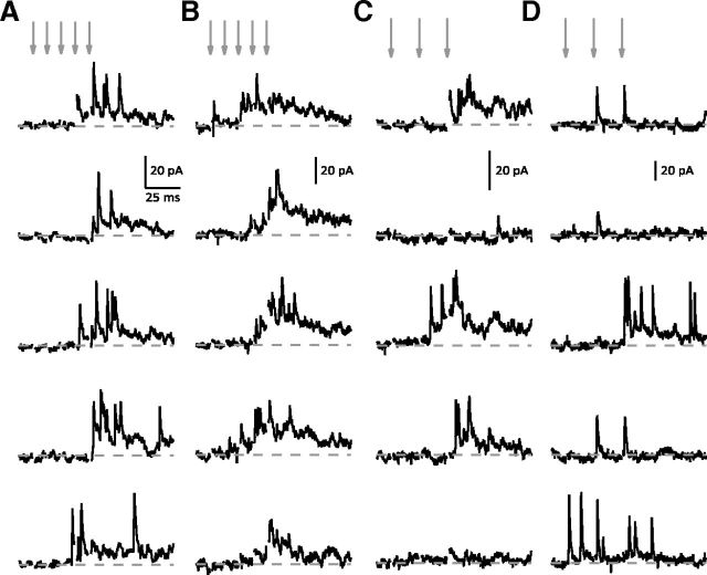 Figure 6.