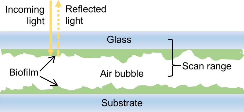 FIG. 3.