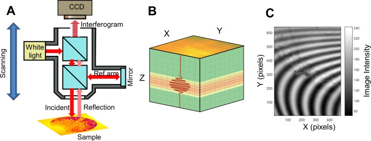 FIG. 1.