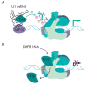 Fig. 4