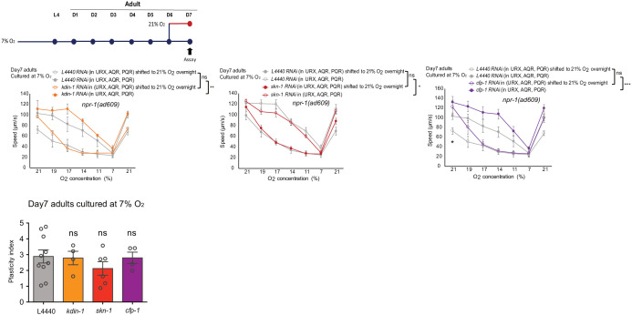 Figure 6—figure supplement 2.