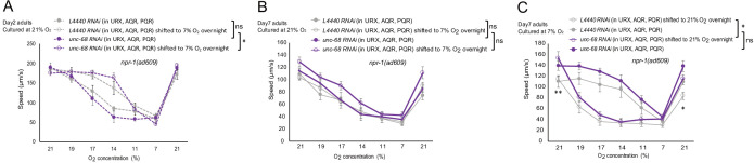 Figure 7—figure supplement 1.