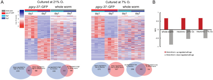 Figure 5—figure supplement 1.