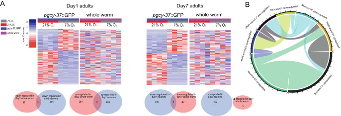 Figure 4—figure supplement 2.