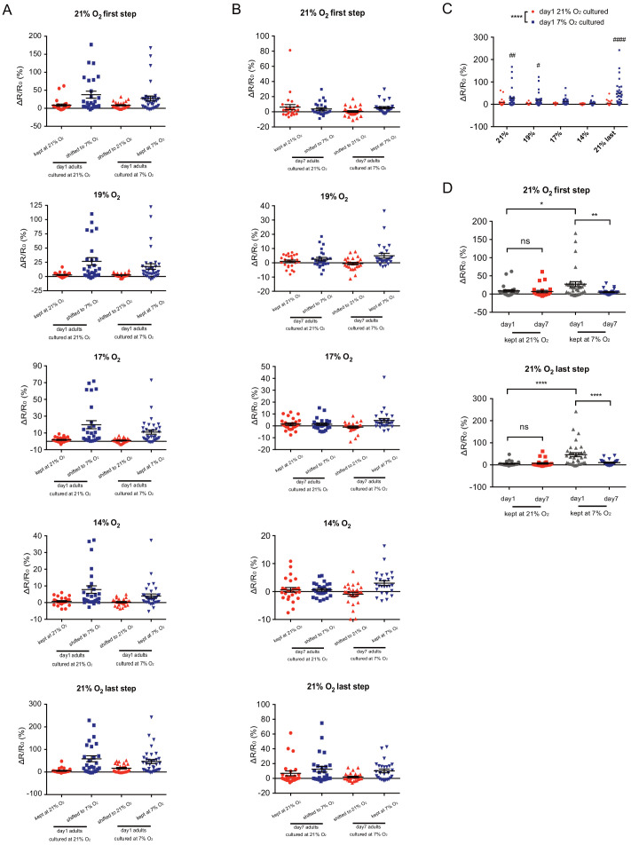 Figure 2—figure supplement 1.