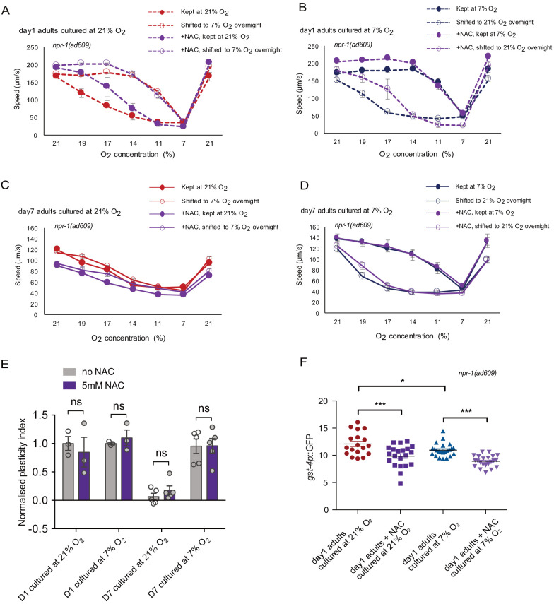 Figure 3—figure supplement 2.