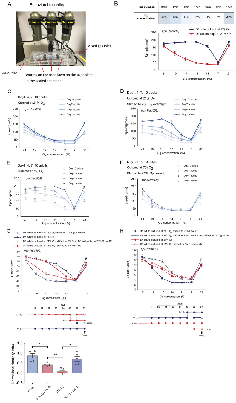 Figure 1—figure supplement 1.