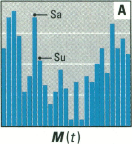 Figure 2. A