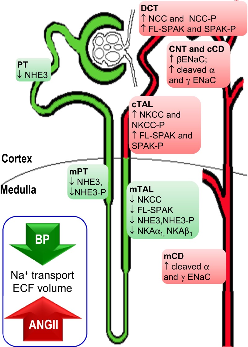 Fig. 9.