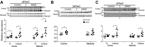 Fig. 8.