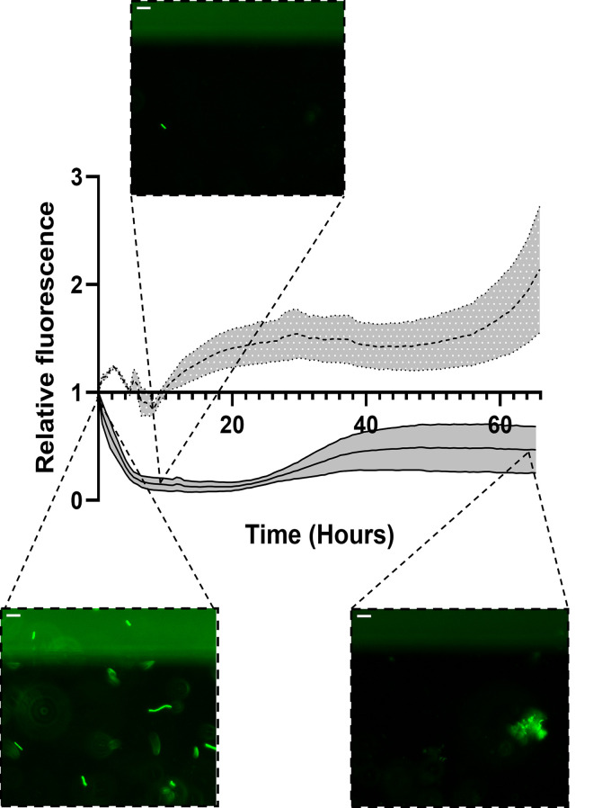 FIG 4