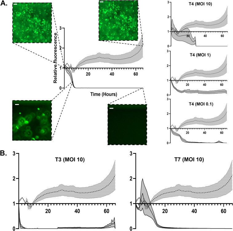 FIG 2