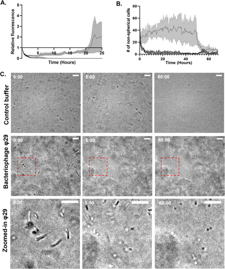 FIG 3