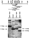 FIG. 11