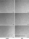 FIG. 7