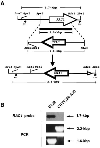 FIG. 6