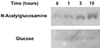 FIG. 10