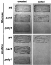 FIG. 8