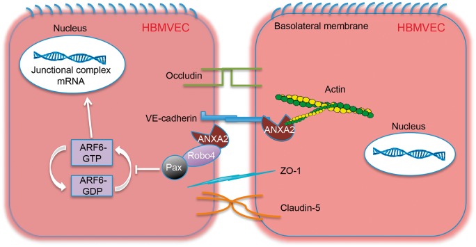 Figure 7.