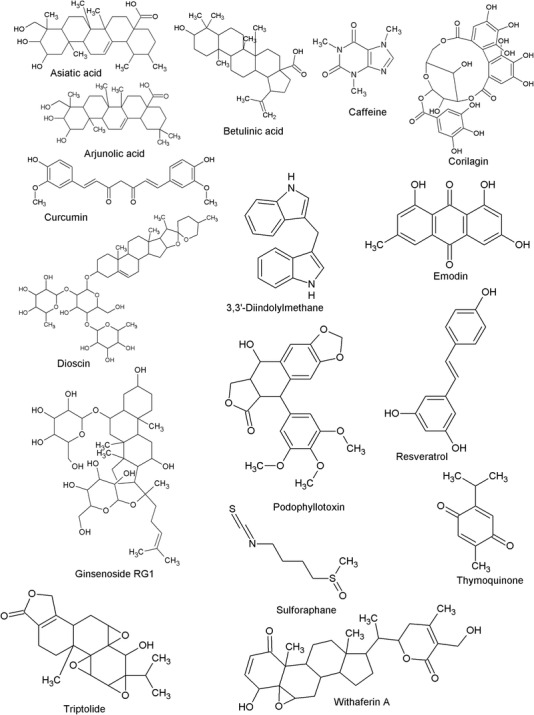 FIGURE 3