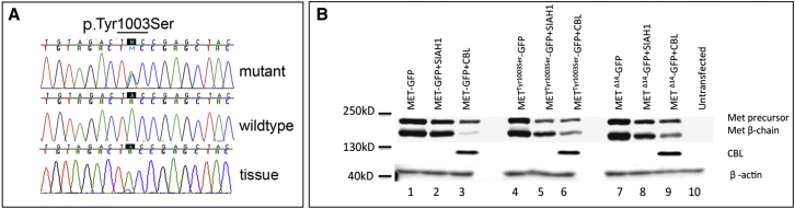 Figure 5