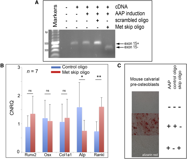 Figure 4