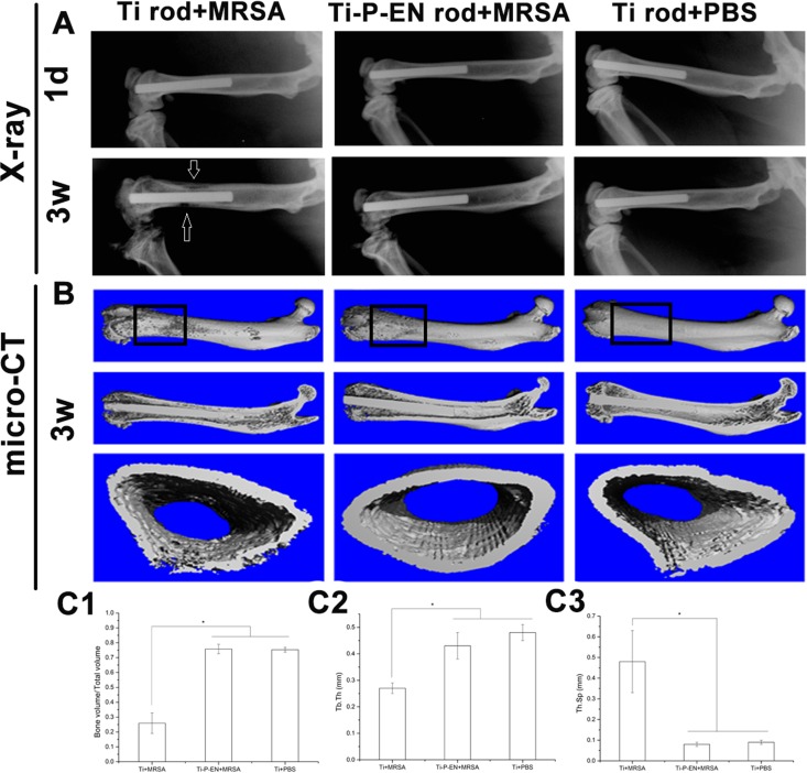 FIG 8