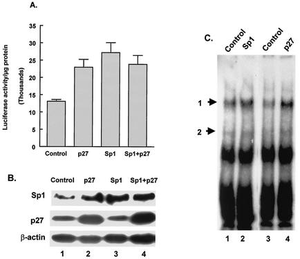 FIG. 6.