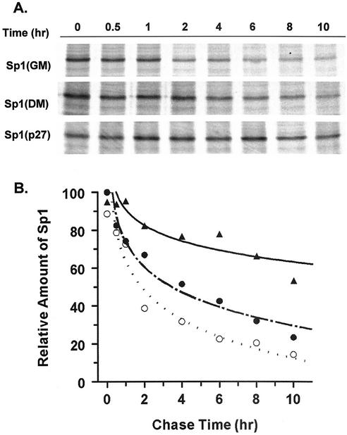 FIG. 9.