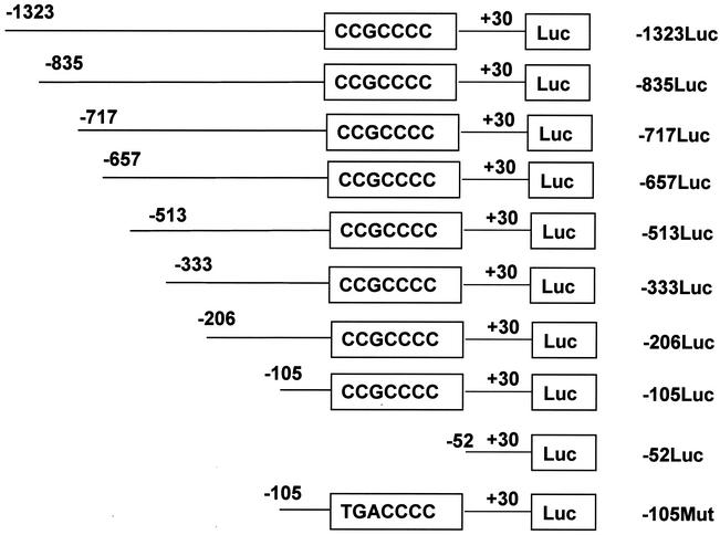 FIG. 1.