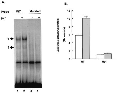 FIG. 5.