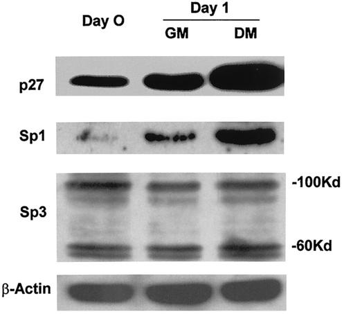 FIG. 8.