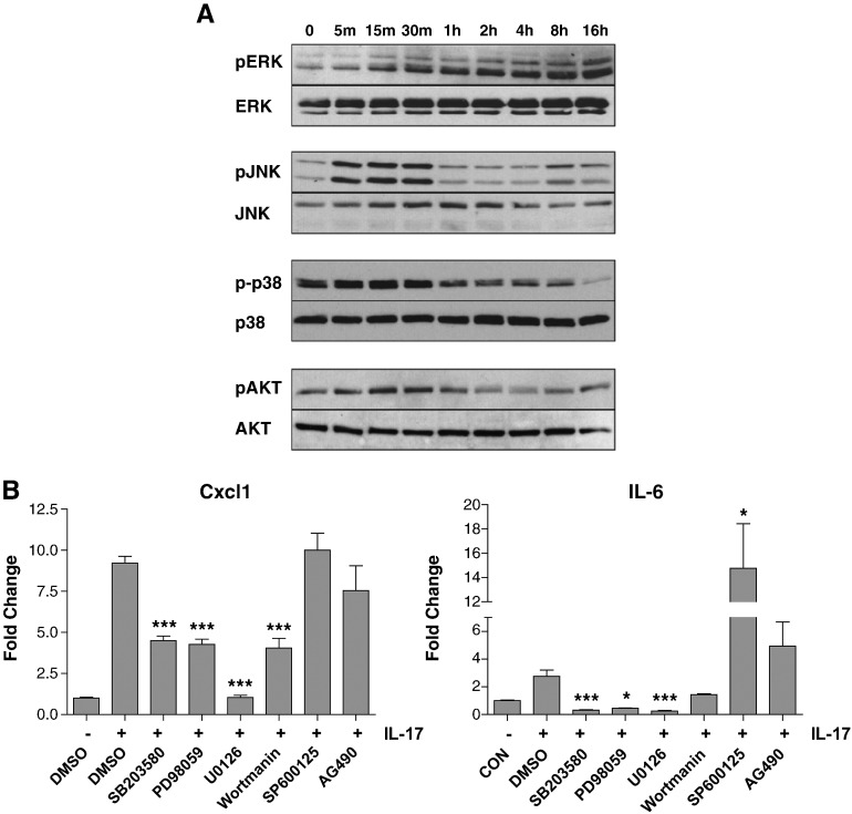 Fig. 3