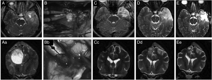 Fig. 5.