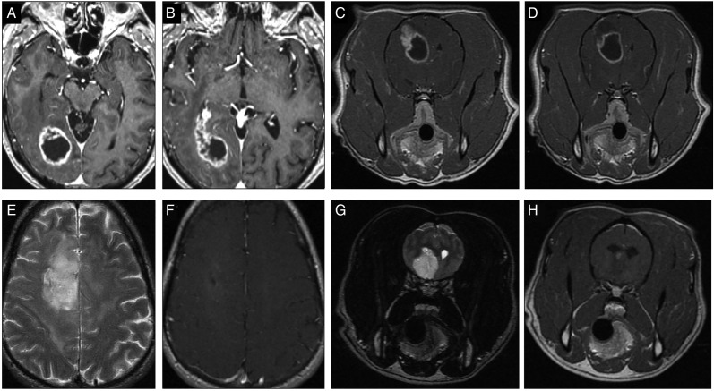 Fig. 4.