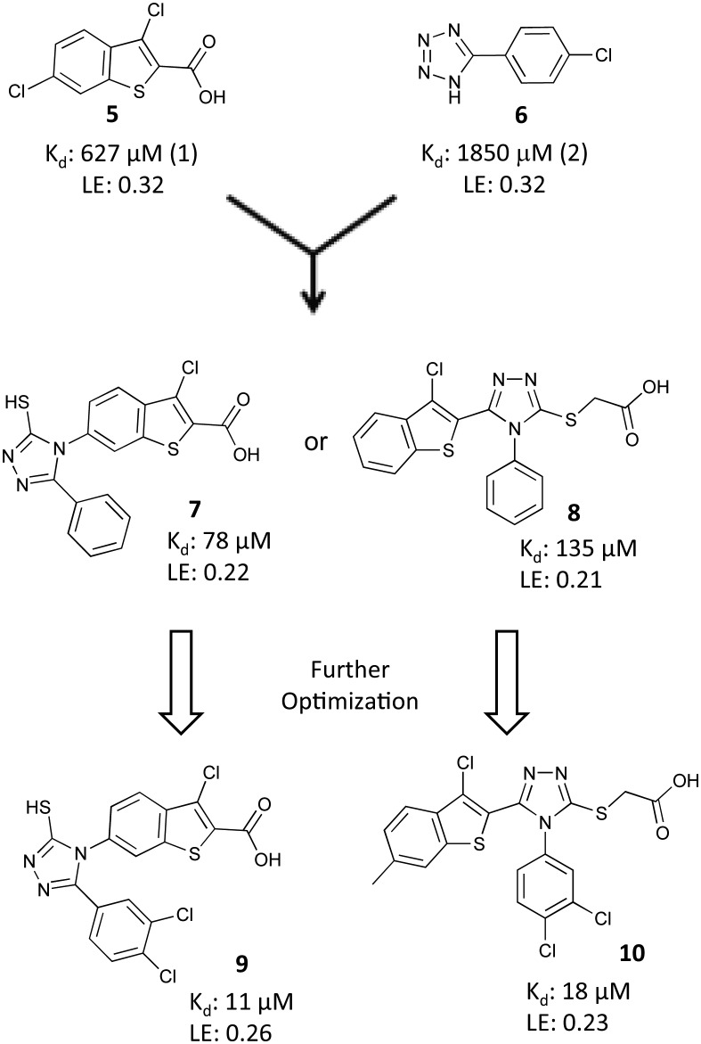 Fig. 6