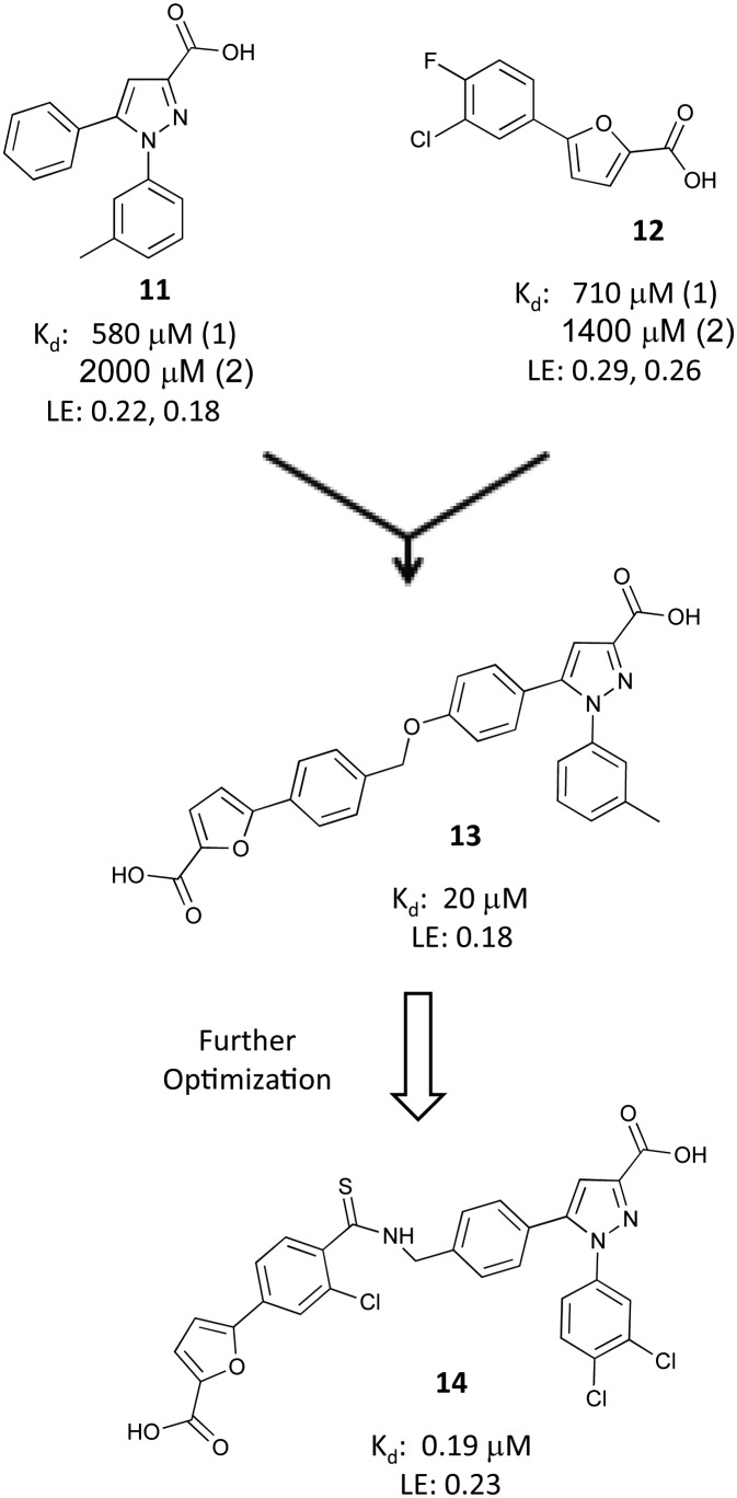 Fig. 7