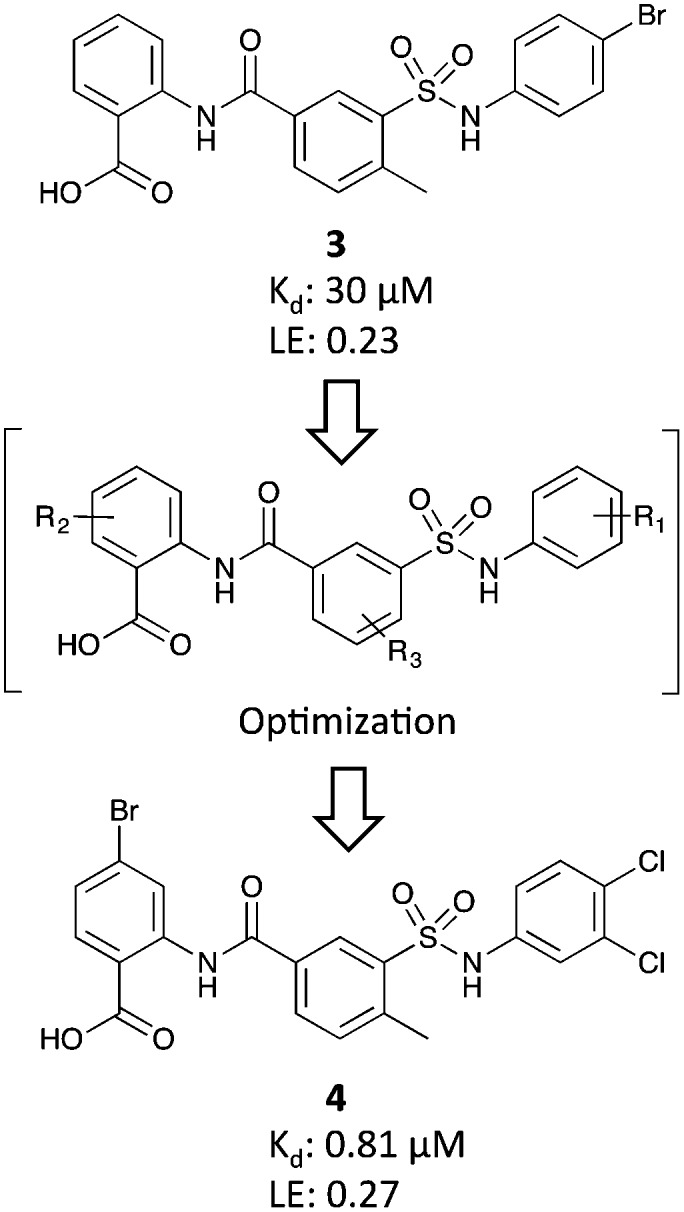 Fig. 4