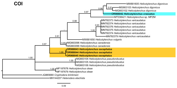 Figure 14