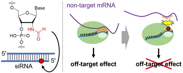 Graphical Abstract