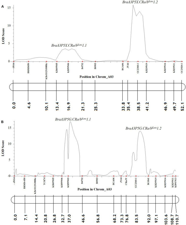 FIGURE 3