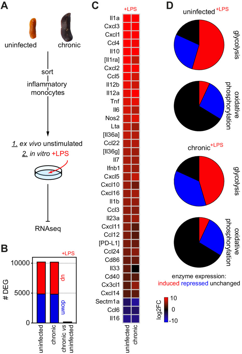 Figure 2—figure supplement 3.