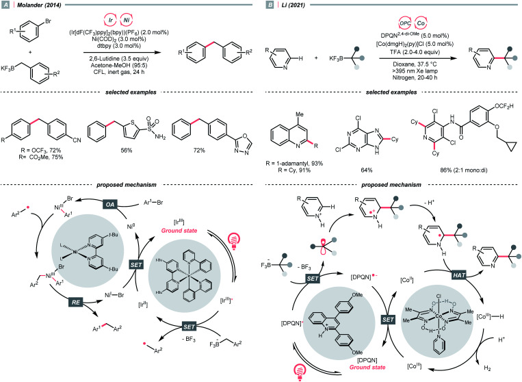 Scheme 48