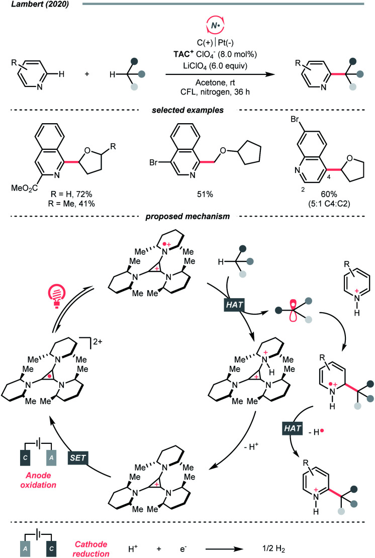 Scheme 15