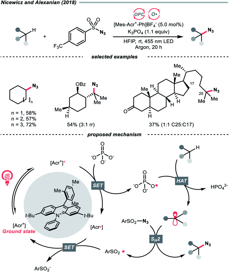 Scheme 8