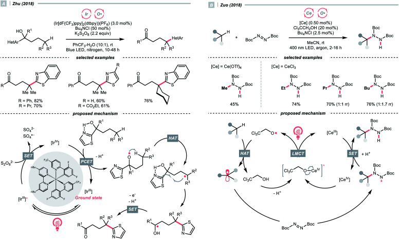 Scheme 6