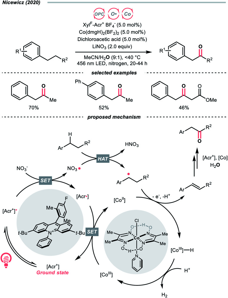 Scheme 9