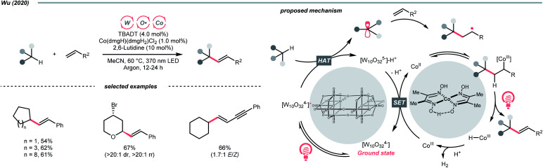 Scheme 12